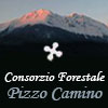 Logo istituzionale